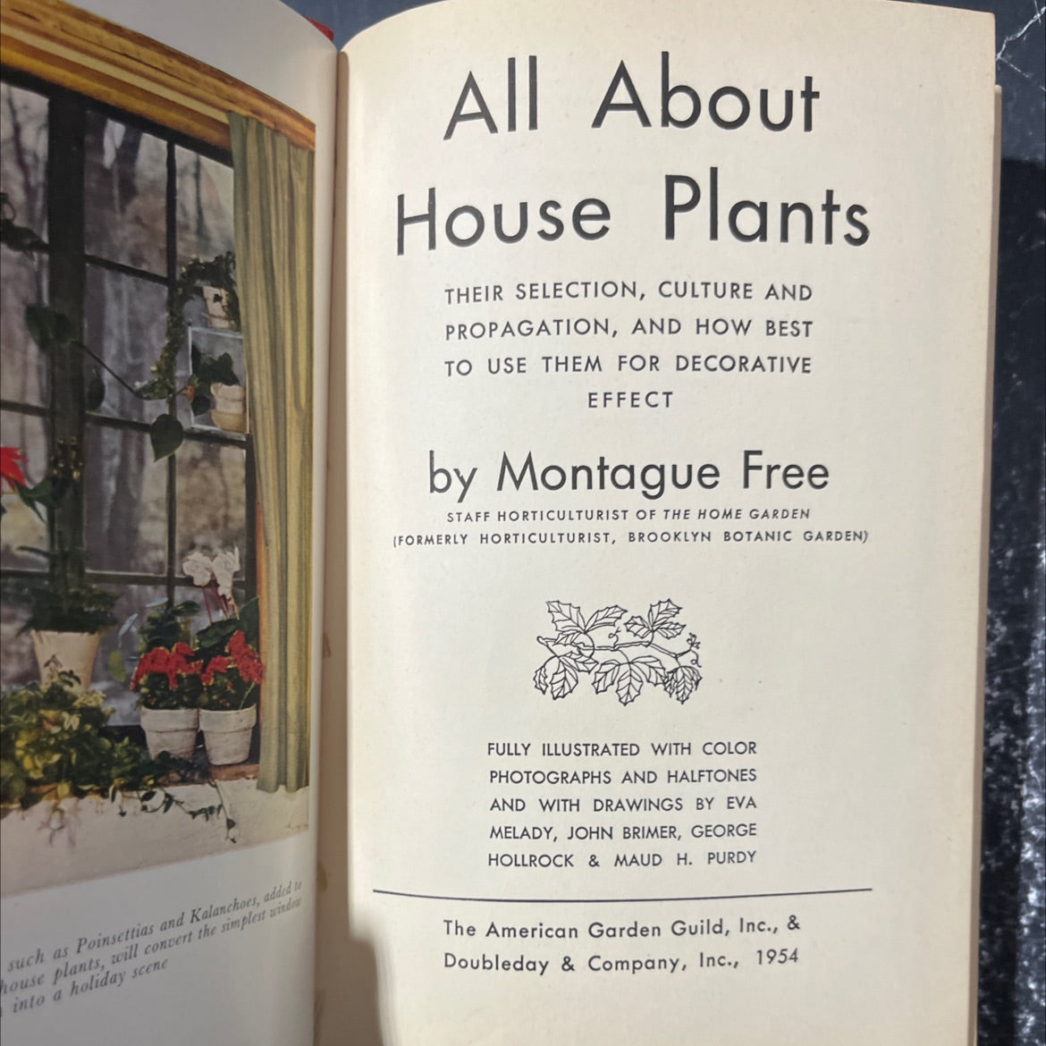 all about house plants their selection culture and propagation and how best to use them for decorative effect book, by image 2