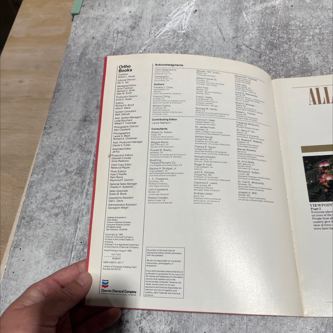 all about trees book, by Franklin J. Chan, Arbonat, Francis Ching, William Collins, and others, 1982 Paperback image 3