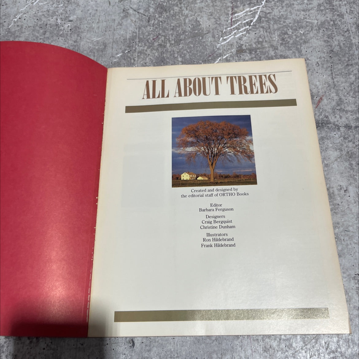 all about trees book, by Franklin J. Chan, Arbonat, Francis Ching, William Collins, and others, 1982 Paperback image 2