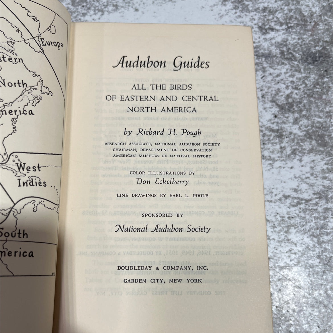 all the birds of eastern and central north america book, by richard h. pough, 1953 Hardcover image 2