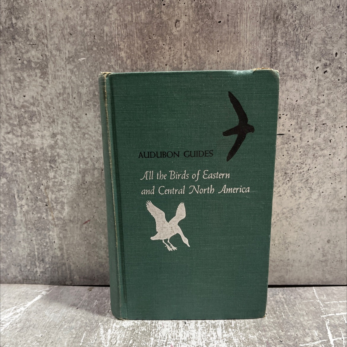 all the birds of eastern and central north america book, by richard h. pough, 1953 Hardcover image 1