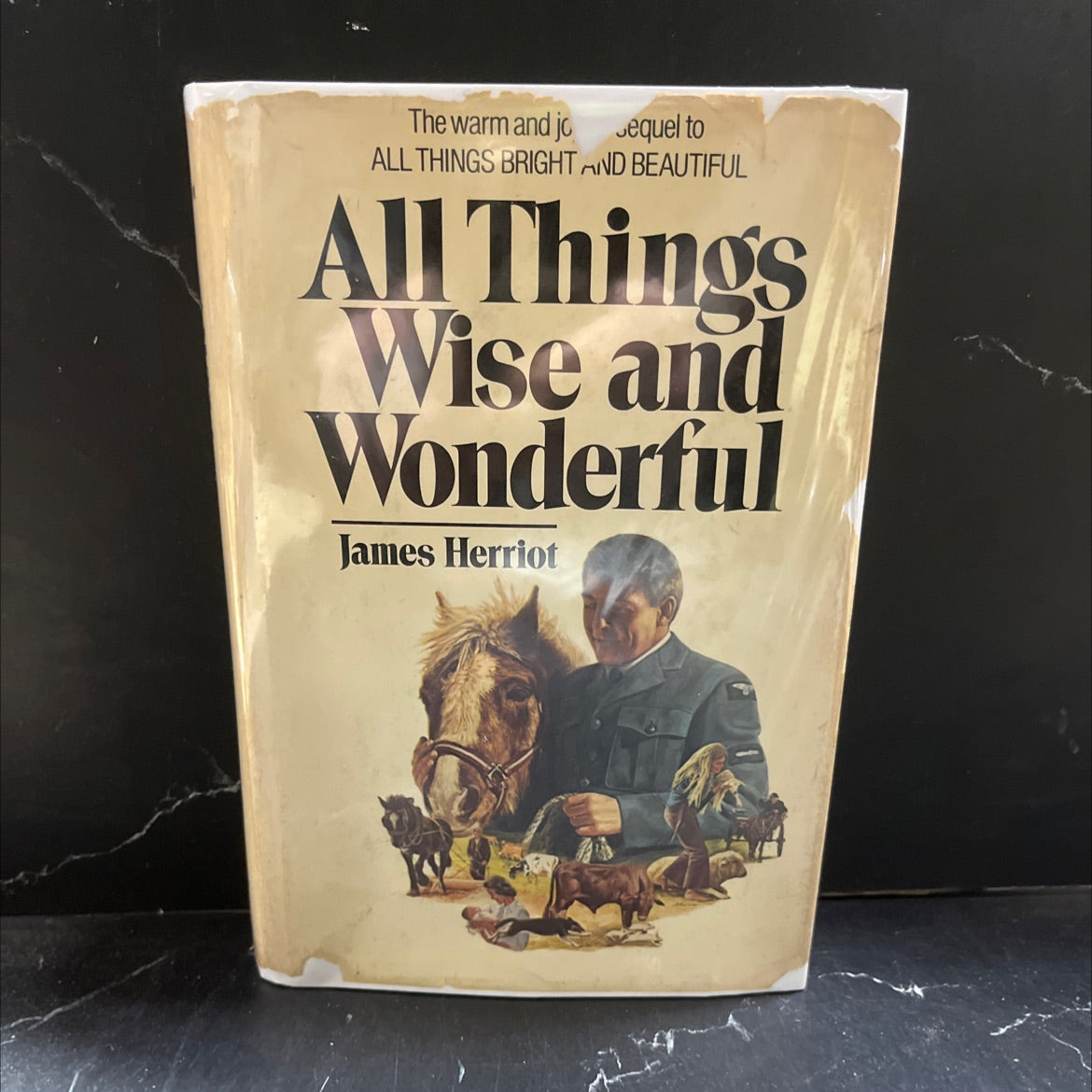 all things wise and wonderful book, by james herriot, 1977 Hardcover image 1