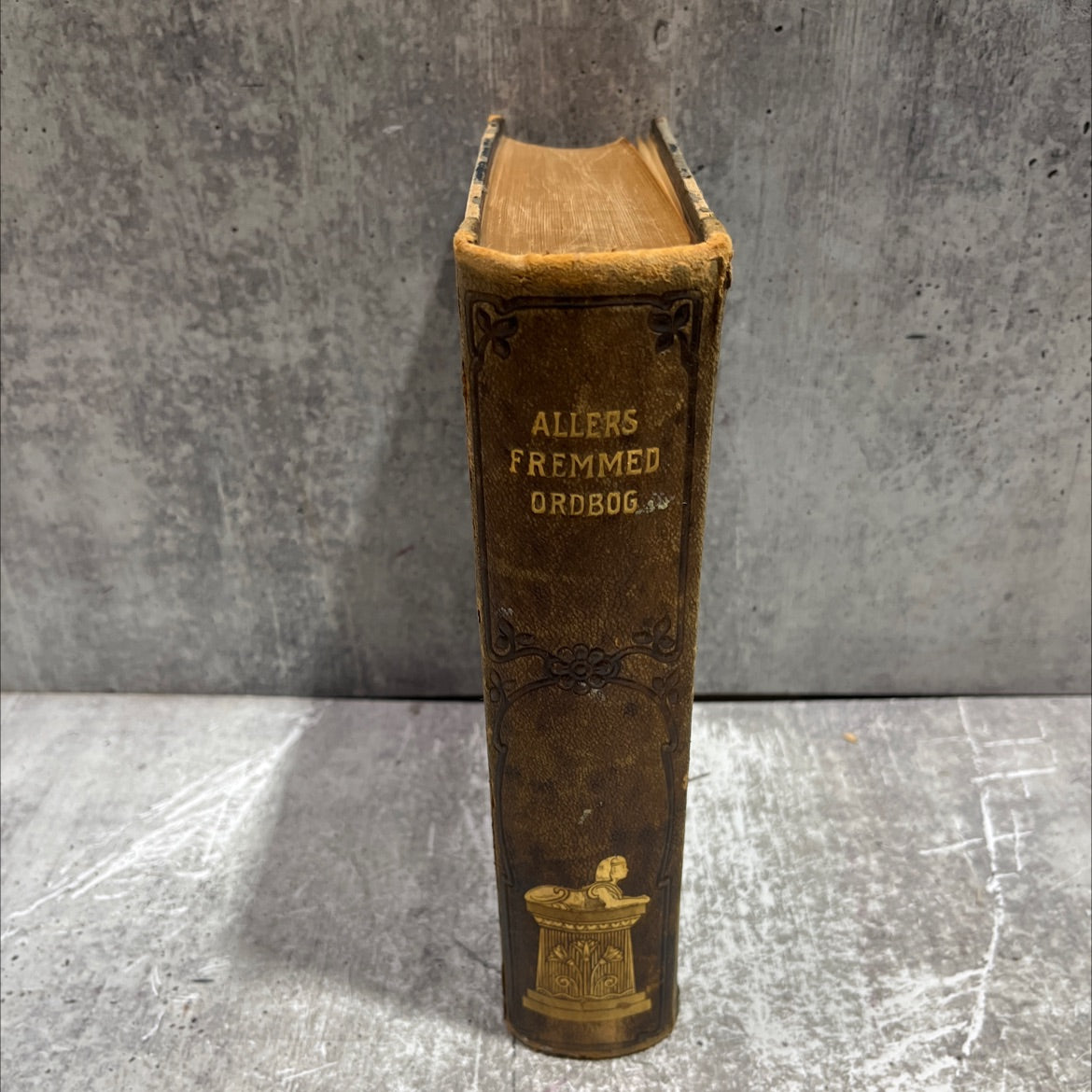 allers fremmedordbog book, by unknown, 1910 Leather image 4