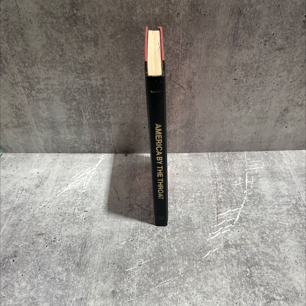 america by the throat the stranglehold of federal bureaucracy book, by george roche, 1983 Hardcover image 4