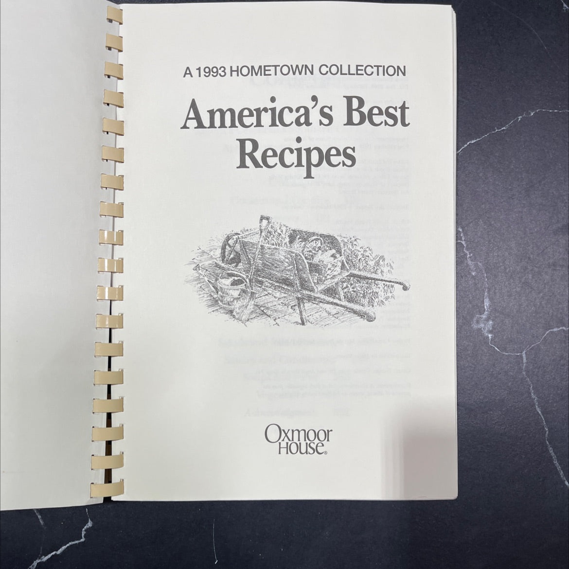 america's best recipes: a 1993 hometown collection book, by unknown, 1993 Paperback image 2