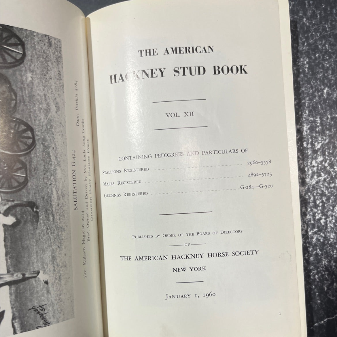 american hackney stud book vol. xii book, by american hackney horse society, 1960 Hardcover image 2