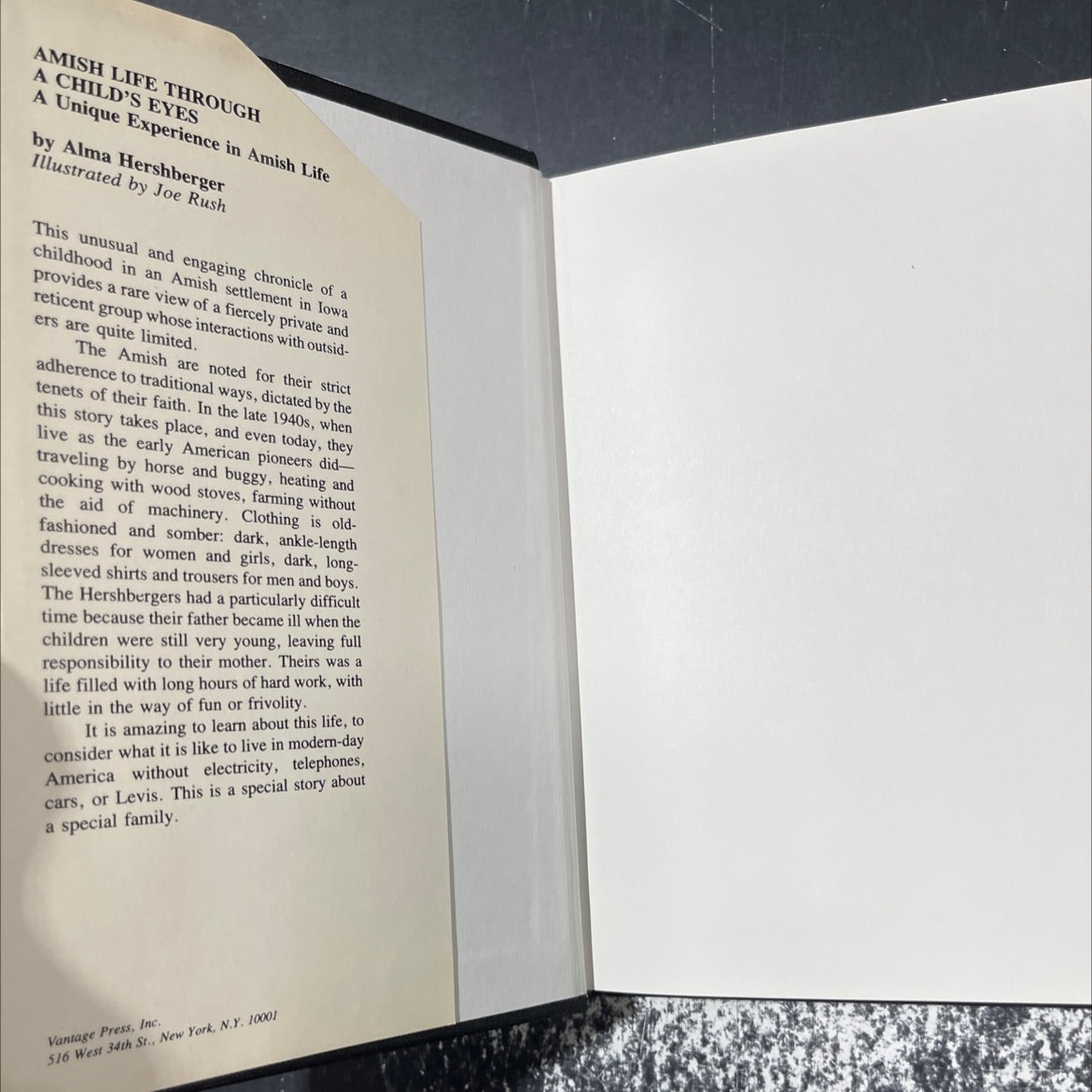 amish life through a child's eyes a unique experience in amish life book, by alma hershberger, 1987 Hardcover image 4