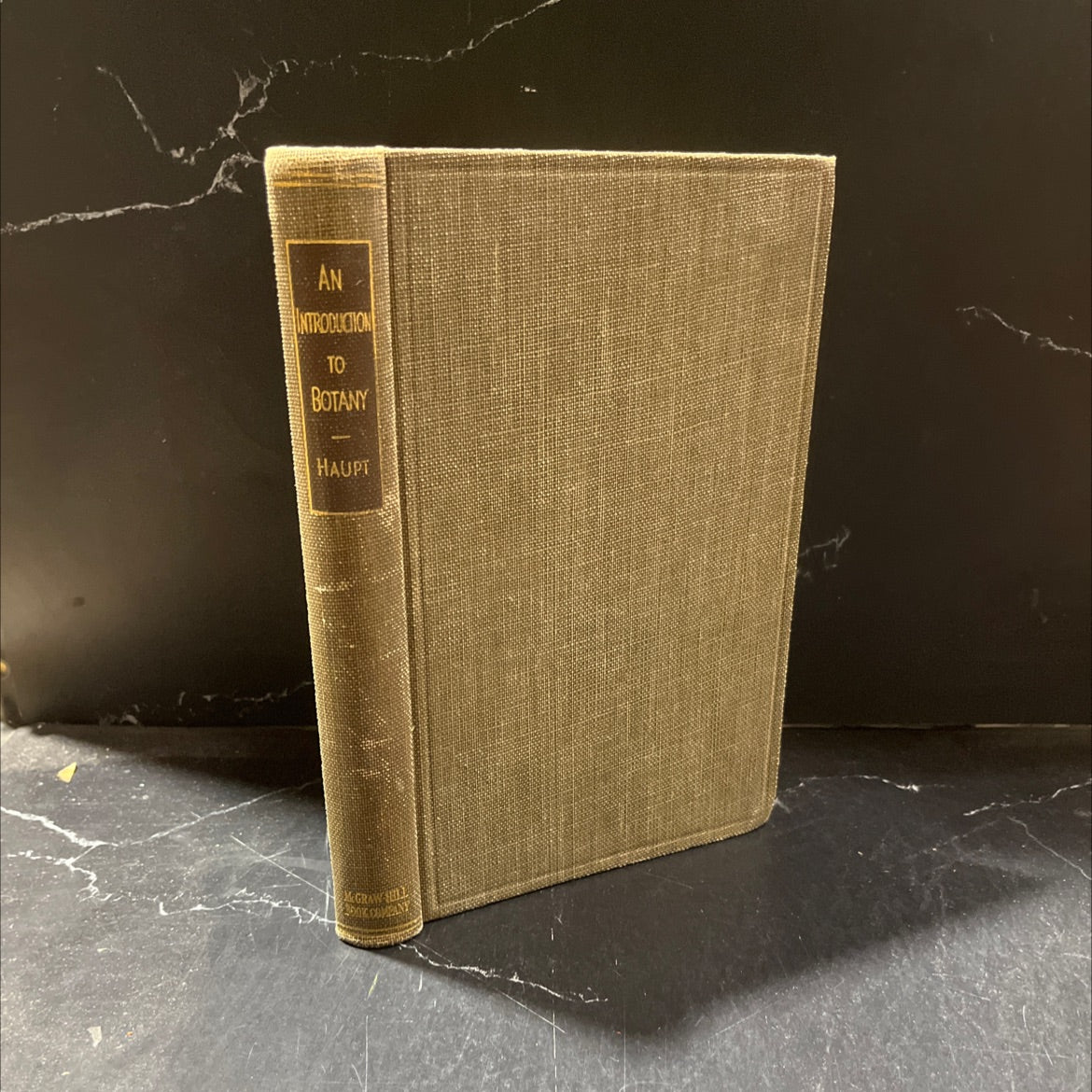an introduction to botany book, by haupt, 1970 Hardcover image 1