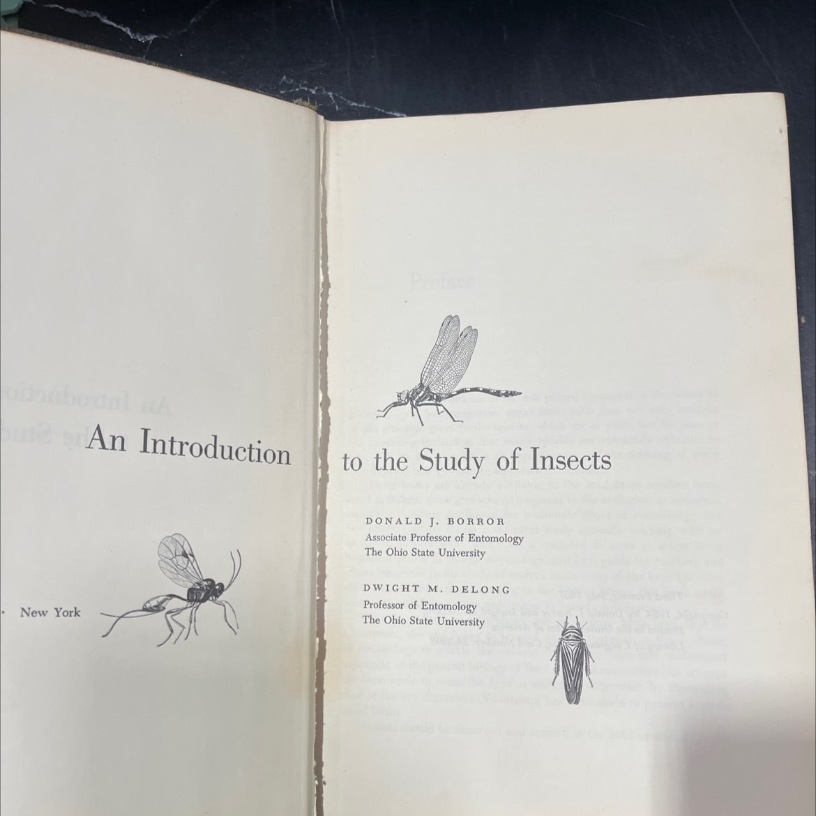 an introduction to the study of insects book, by donald j. boror, dwight m. delong, 1957 Hardcover image 2