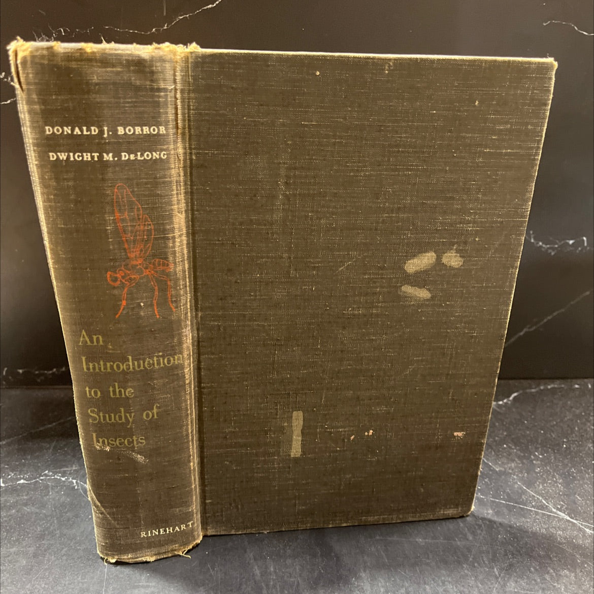 an introduction to the study of insects book, by donald j. boror, dwight m. delong, 1957 Hardcover image 1