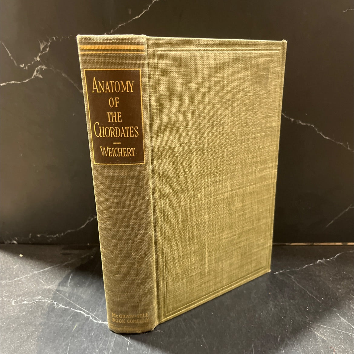 anatomy of the chordates book, by charles k. wiechert, 1951 Hardcover image 1