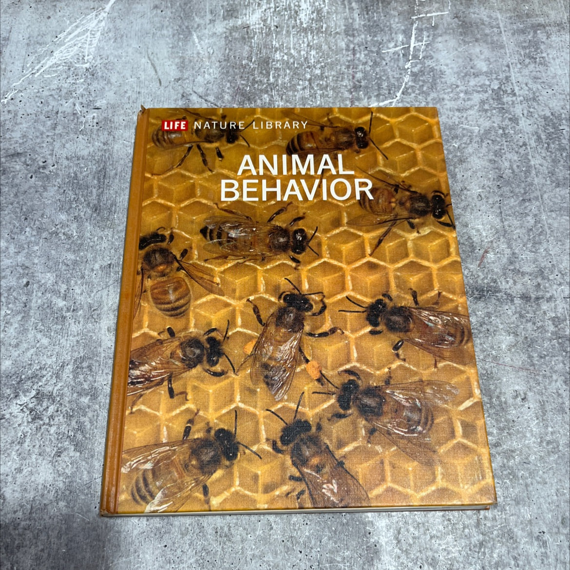 animal behavior book, by Niko Tinbergen, 1965 Hardcover image 1