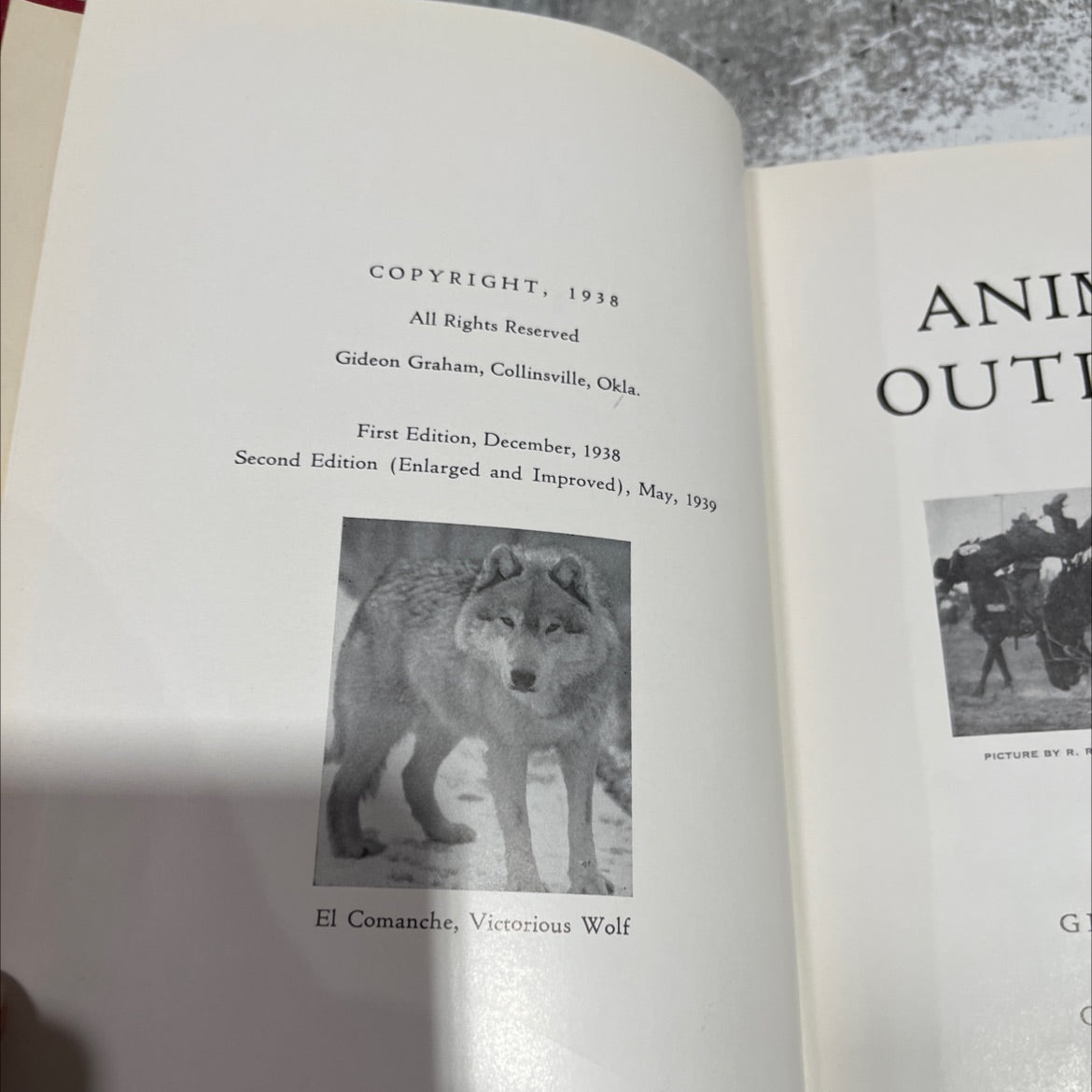 animal outlaws book, by gid graham, 1939 Hardcover image 3