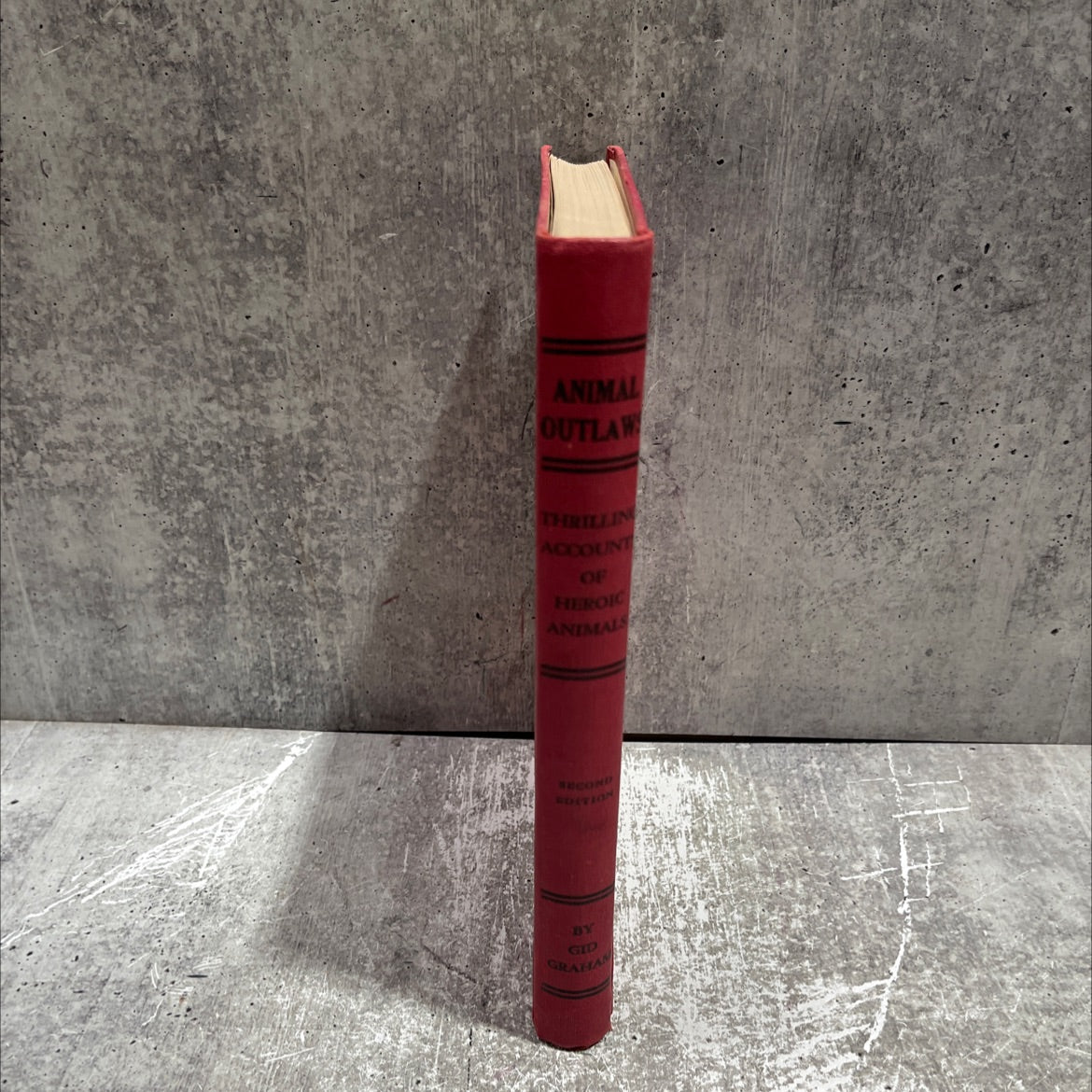 animal outlaws book, by gid graham, 1939 Hardcover image 4