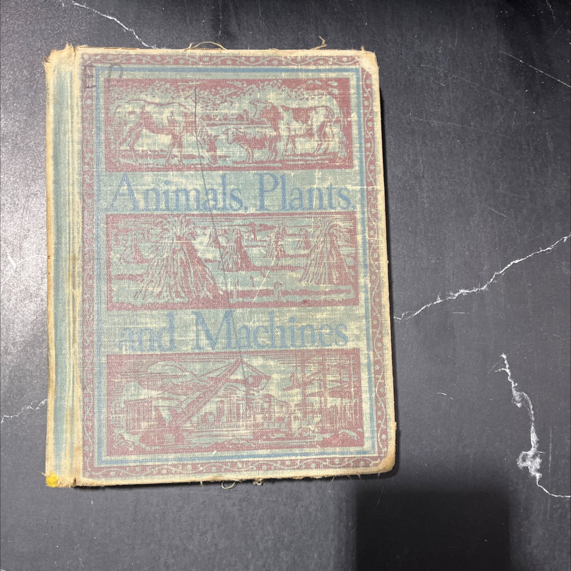 animals plants and machines book, by unknown, 1944 Hardcover image 1
