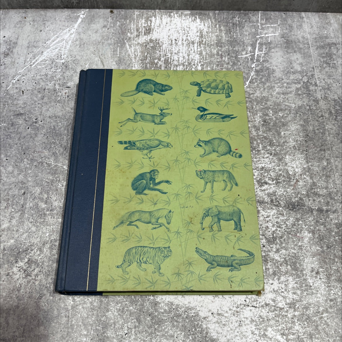 animals you will never forget book, by unknown, 1969 Hardcover image 1