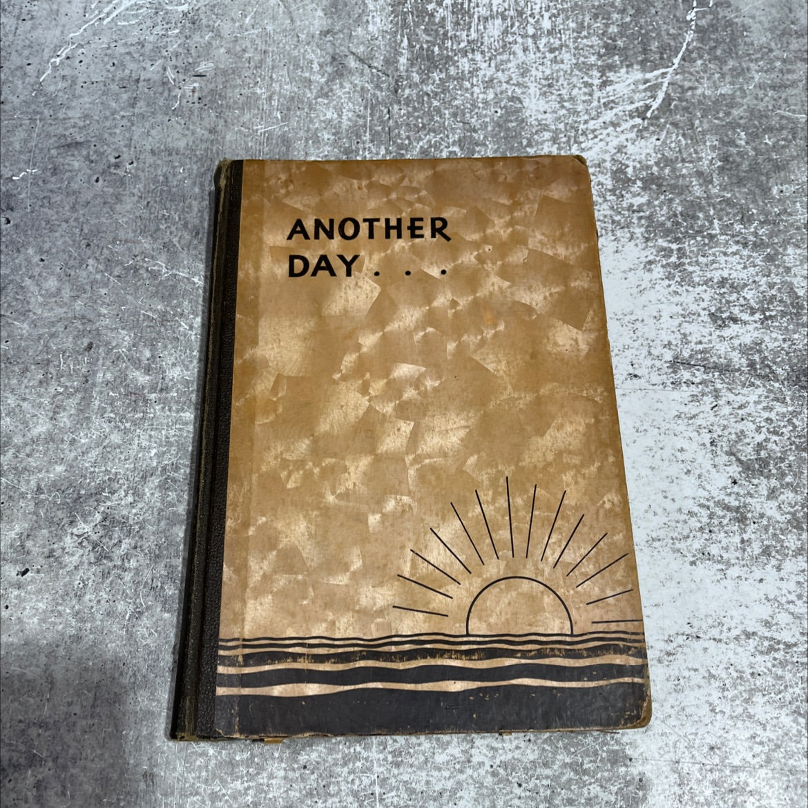 another day book, by walter m. harrison, 1936 Hardcover image 1
