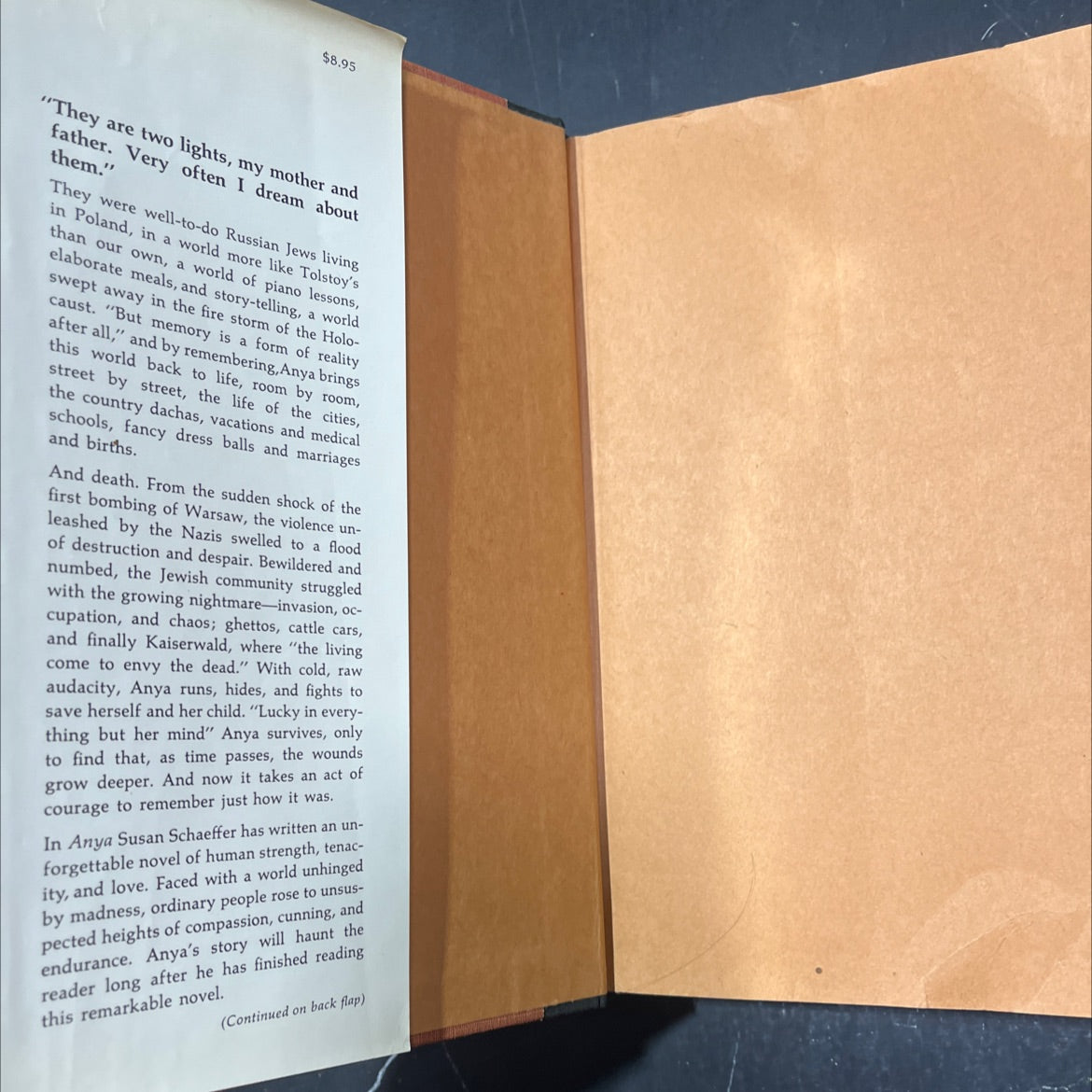 anya book, by susan fromberg schaeffer, 1974 Hardcover image 4