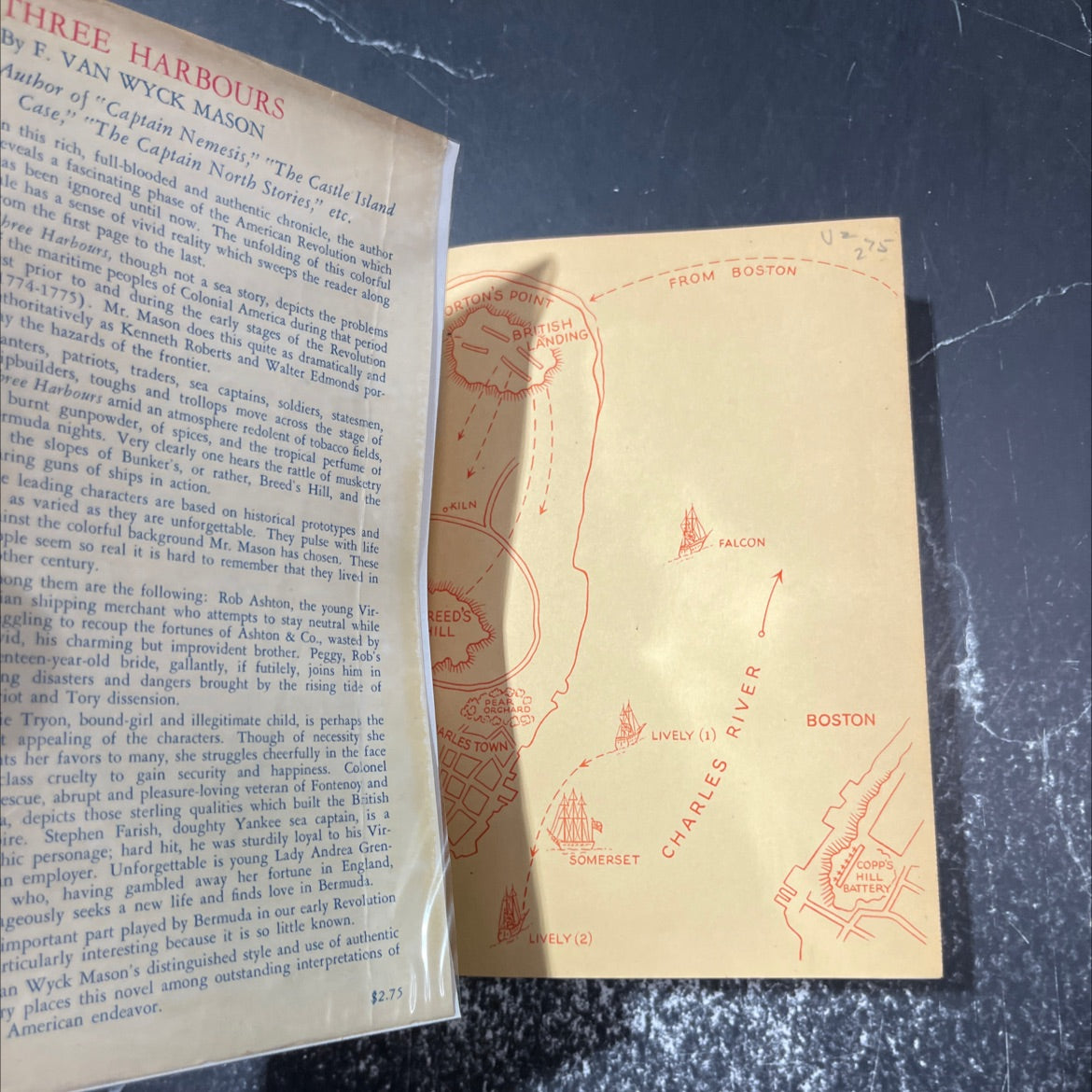 arbour's nemesis book, by f. van wyck mason, 1938 Hardcover image 4