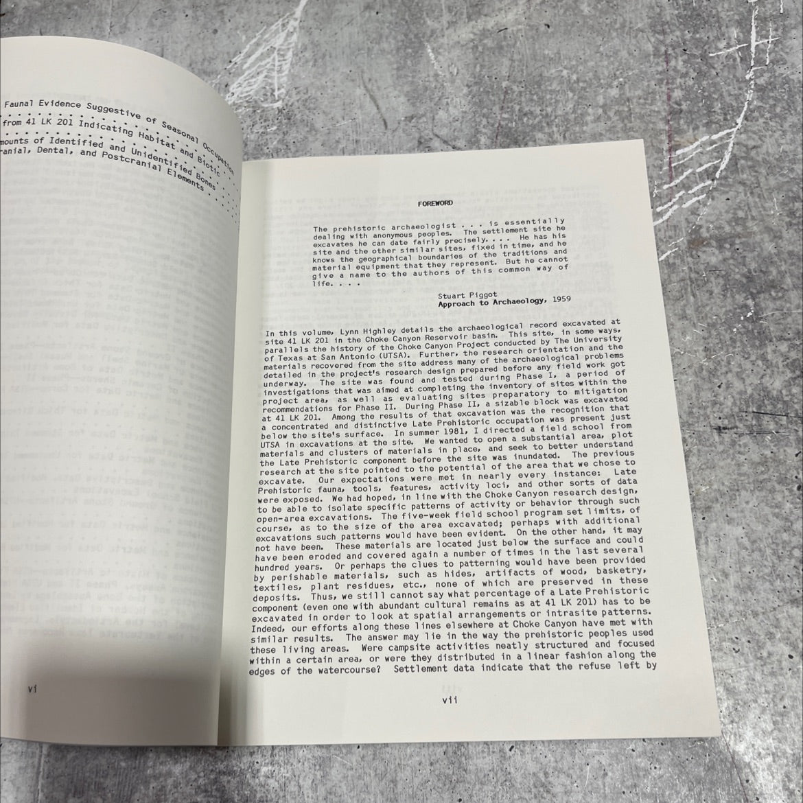 archaeological investigations at 41 lk 201, choke canyon reservoir, southern texas book, by Cheryl Lynn Highley, 1986 image 3