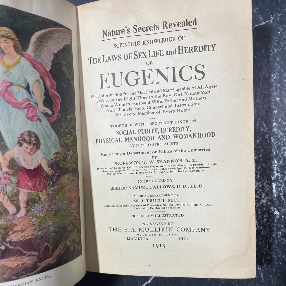 ardian angel book, by professor t. w. shannon, 1915 Hardcover image 2