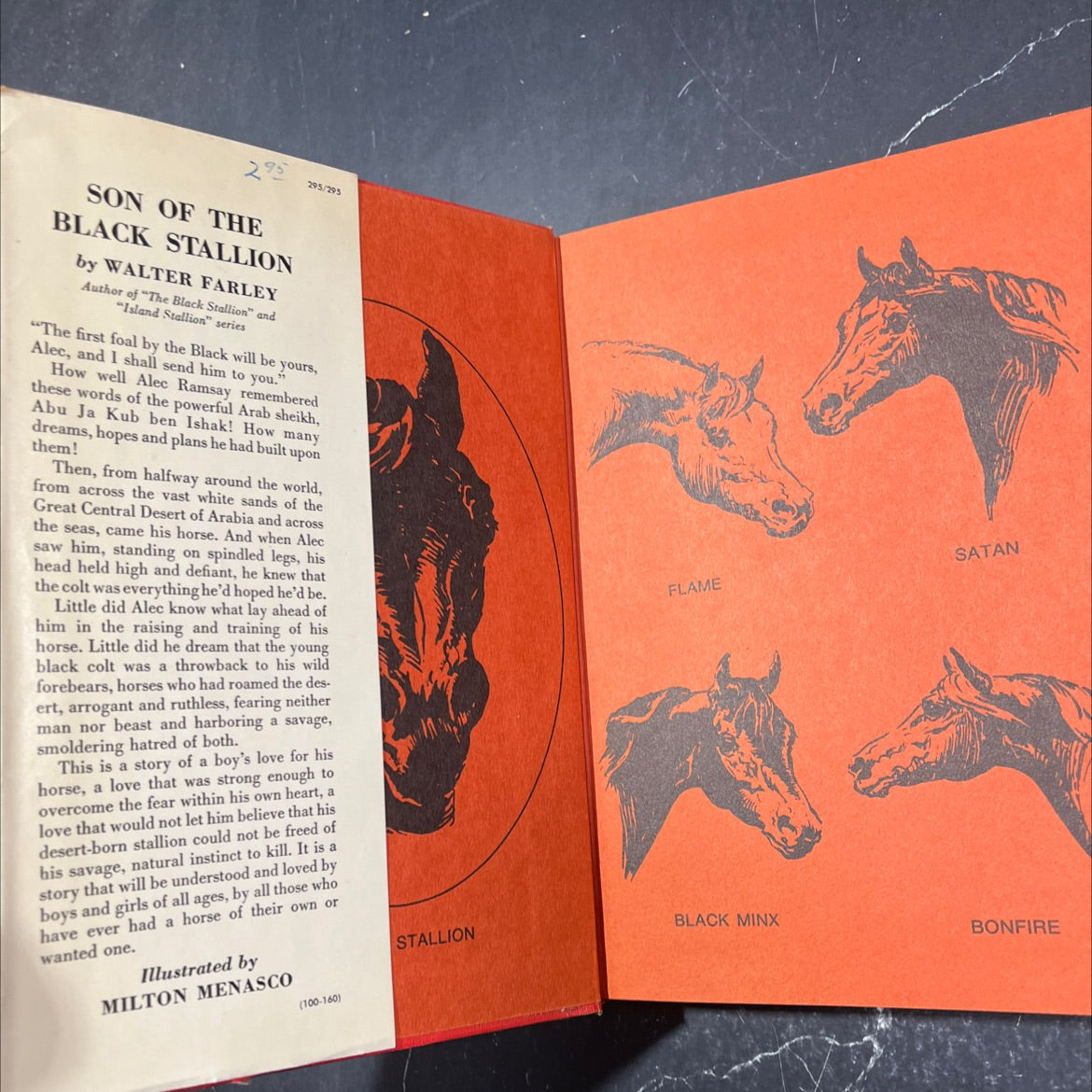 ascon son of the black stallion book, by walter farley, 1947 Hardcover image 4