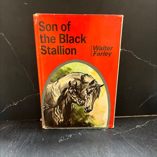 ascon son of the black stallion book, by walter farley, 1947 Hardcover image 1