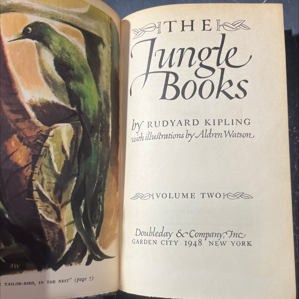 aw tailor-bird, in the nest book, by rudyard kipling, 1948 Hardcover image 2