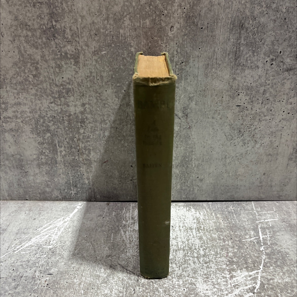 bambi a life in the woods book, by felix salten, 1928 Hardcover image 4