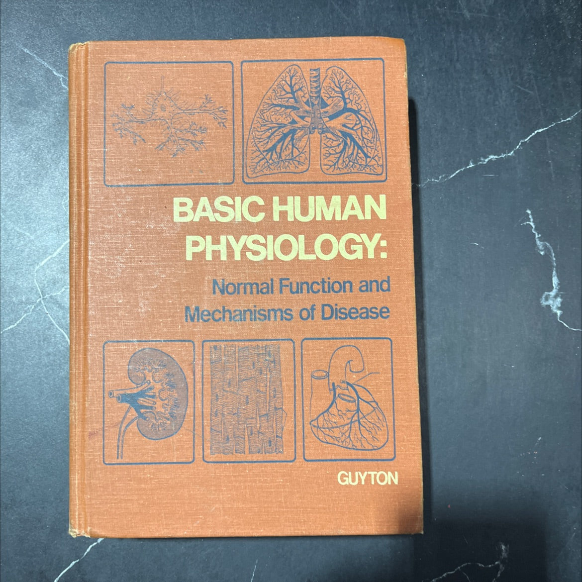 basic human physiology: normal function and mechanisms of disease book, by arthur c. guyton, 1977 Hardcover image 1