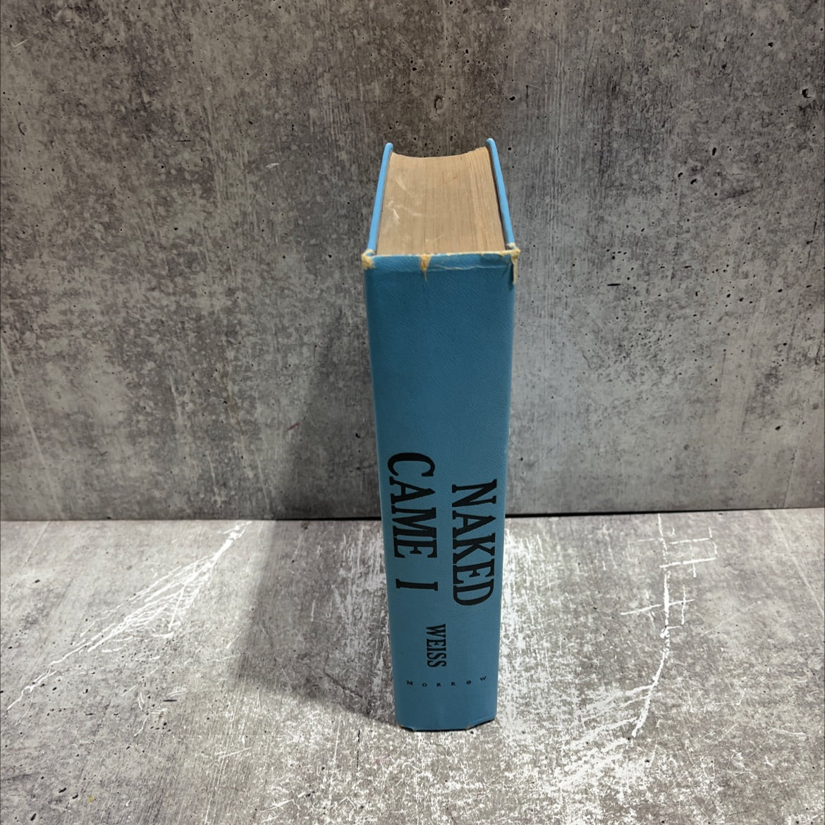 bea naked ldo't odi t came i a novel of rodin book, by David Weiss, 1963 Hardcover image 4