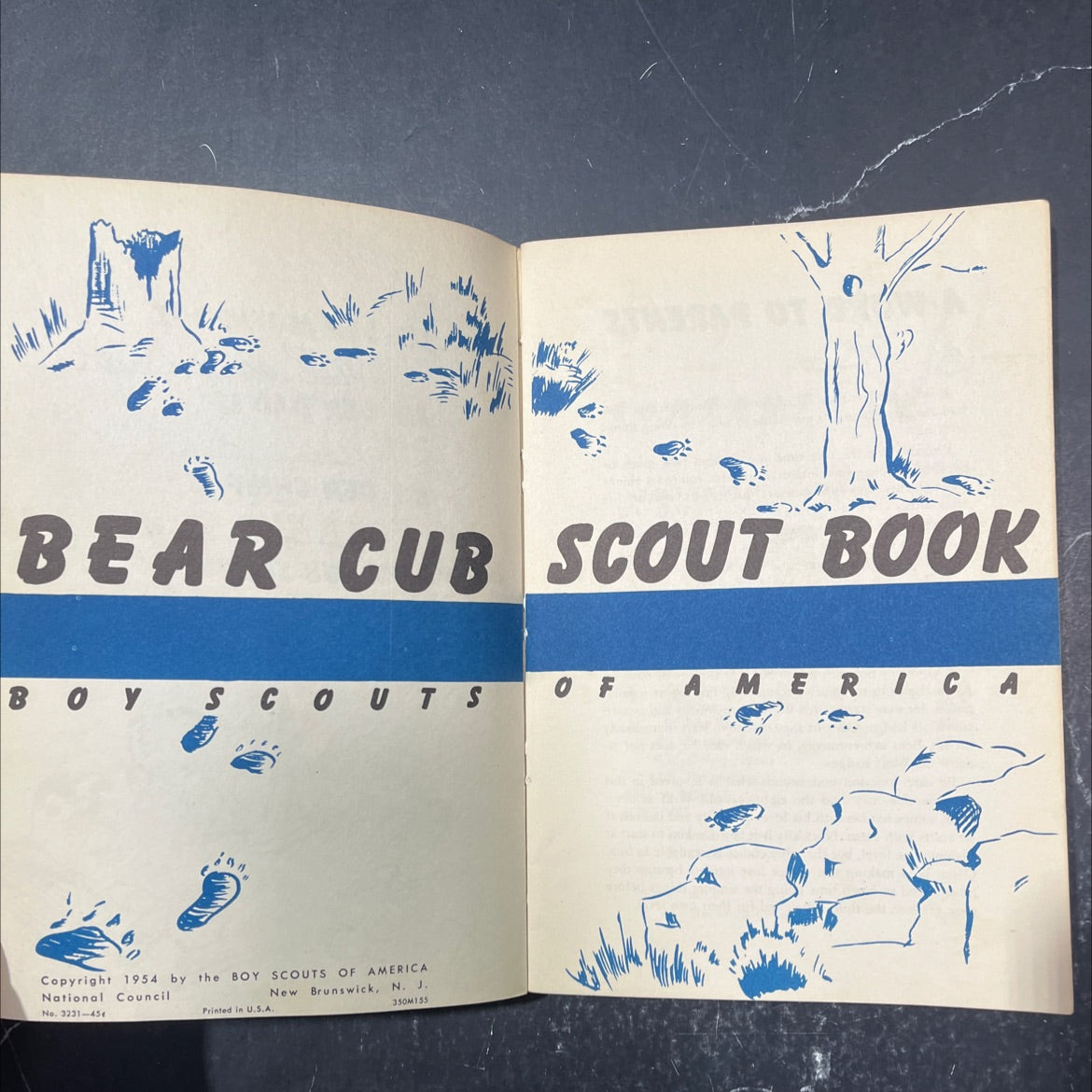 bear cub scout book book, by unknown, 1954 Paperback image 2