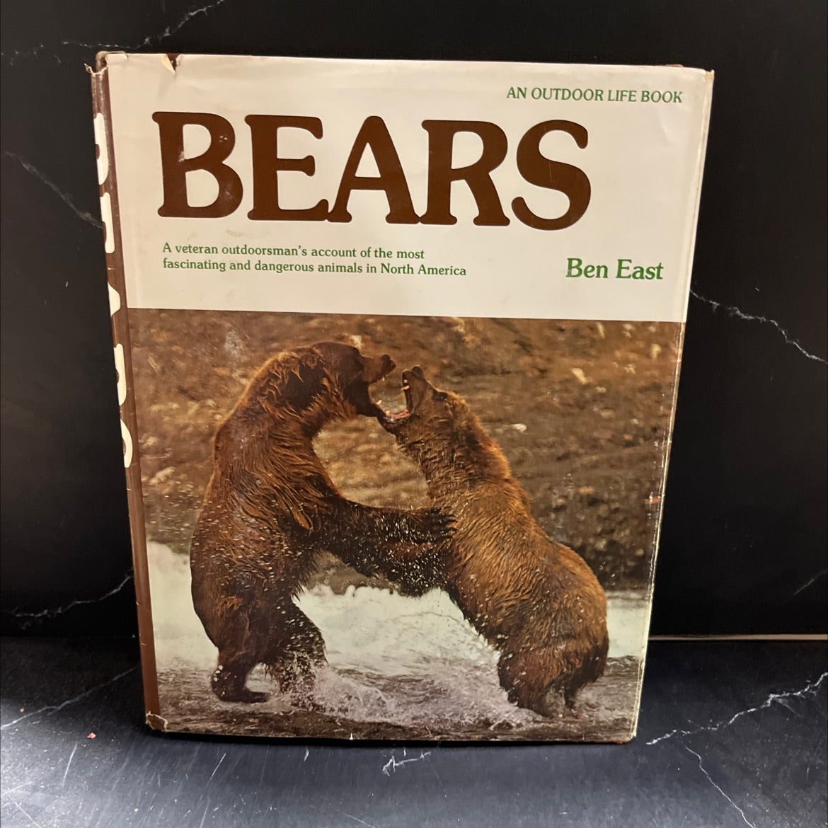 bears book, by Ben East, 1983 Hardcover image 1