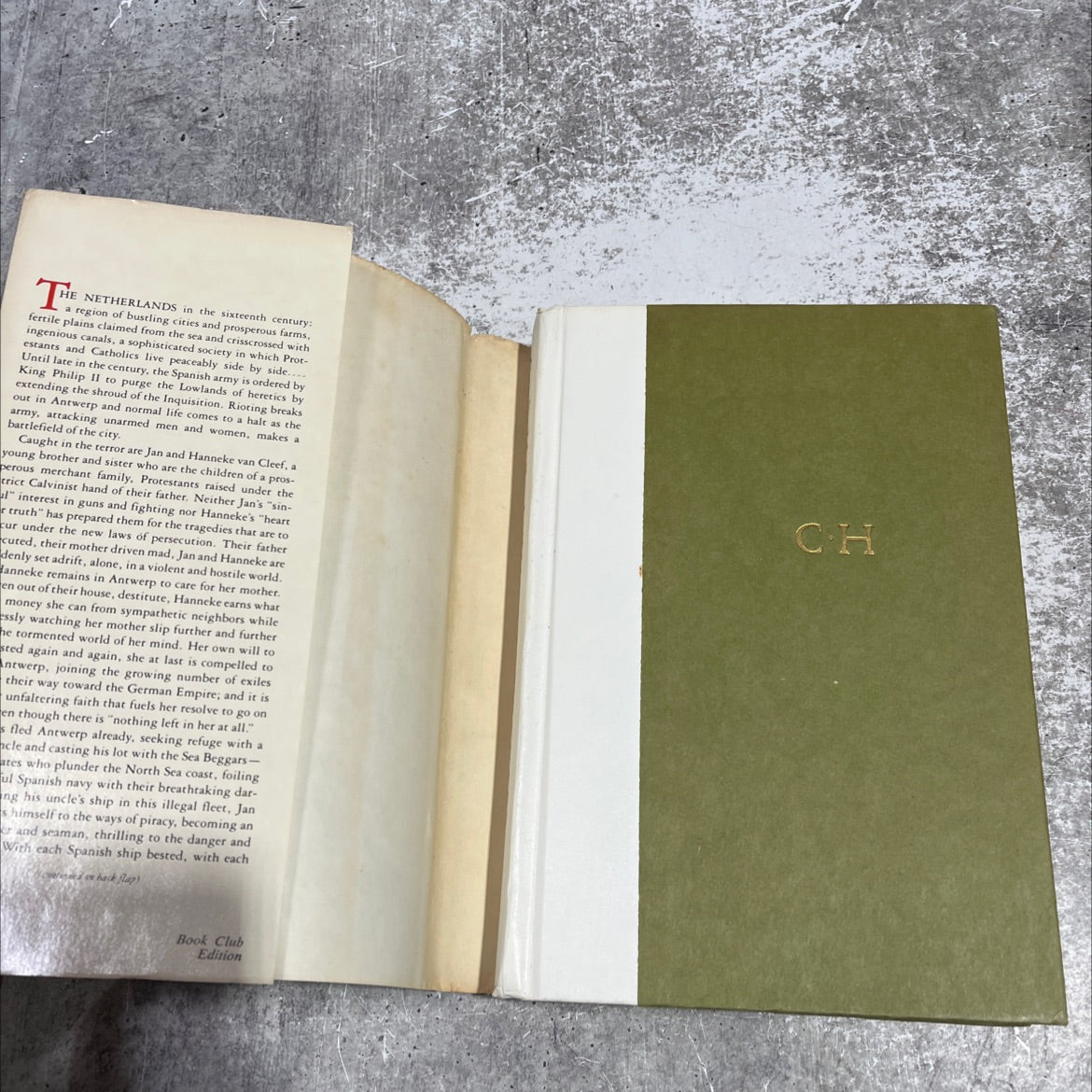 beggars book, by Cecelia Holland, 1982 Hardcover image 4