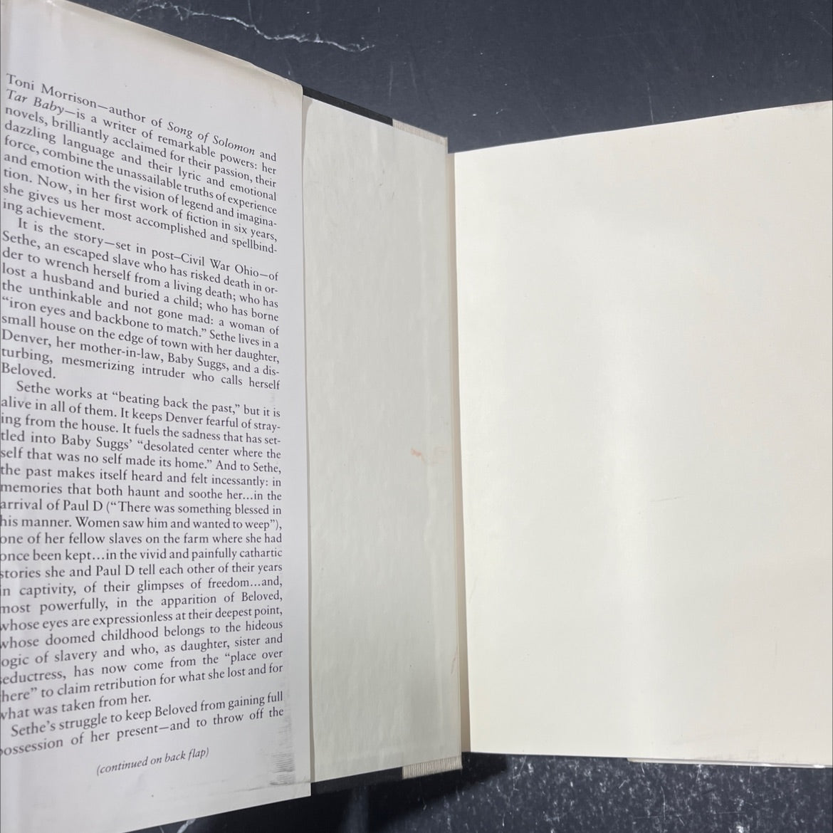 beloved book, by Toni Morrison, 1987 Hardcover image 4