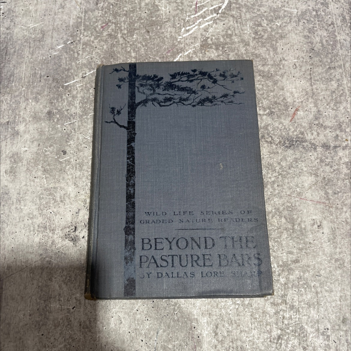 beyond the pasture bars book, by dallas lore sharp, 1914 Hardcover image 1