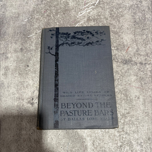 beyond the pasture bars book, by dallas lore sharp, 1914 Hardcover image 1