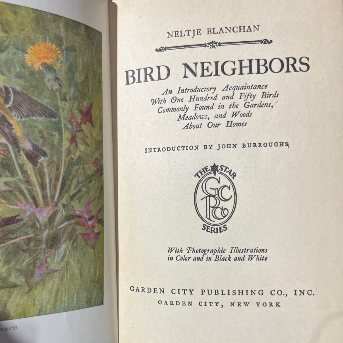 bird neighbors book, by neltje blanchan, 1922 Hardcover image 2