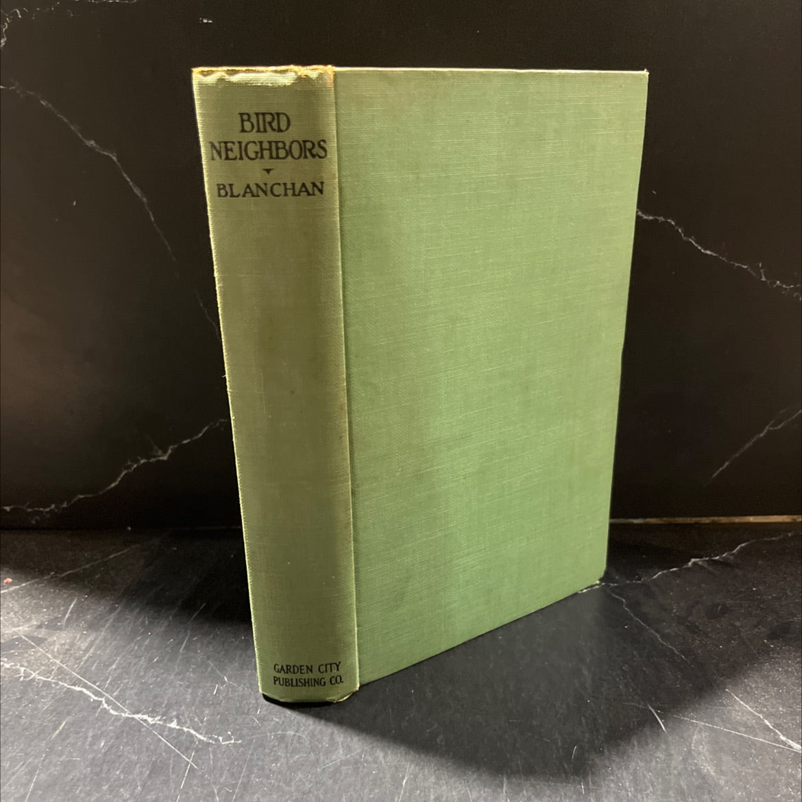 bird neighbors book, by neltje blanchan, 1922 Hardcover image 1