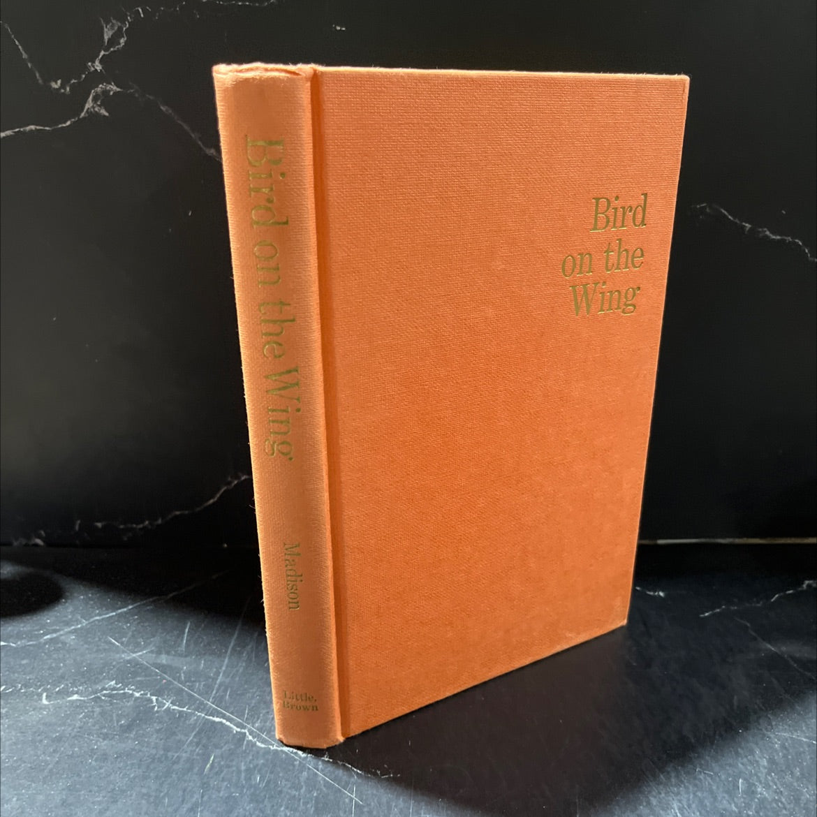 bird on the wing book, by Winifred Madison, 1974 Hardcover image 1