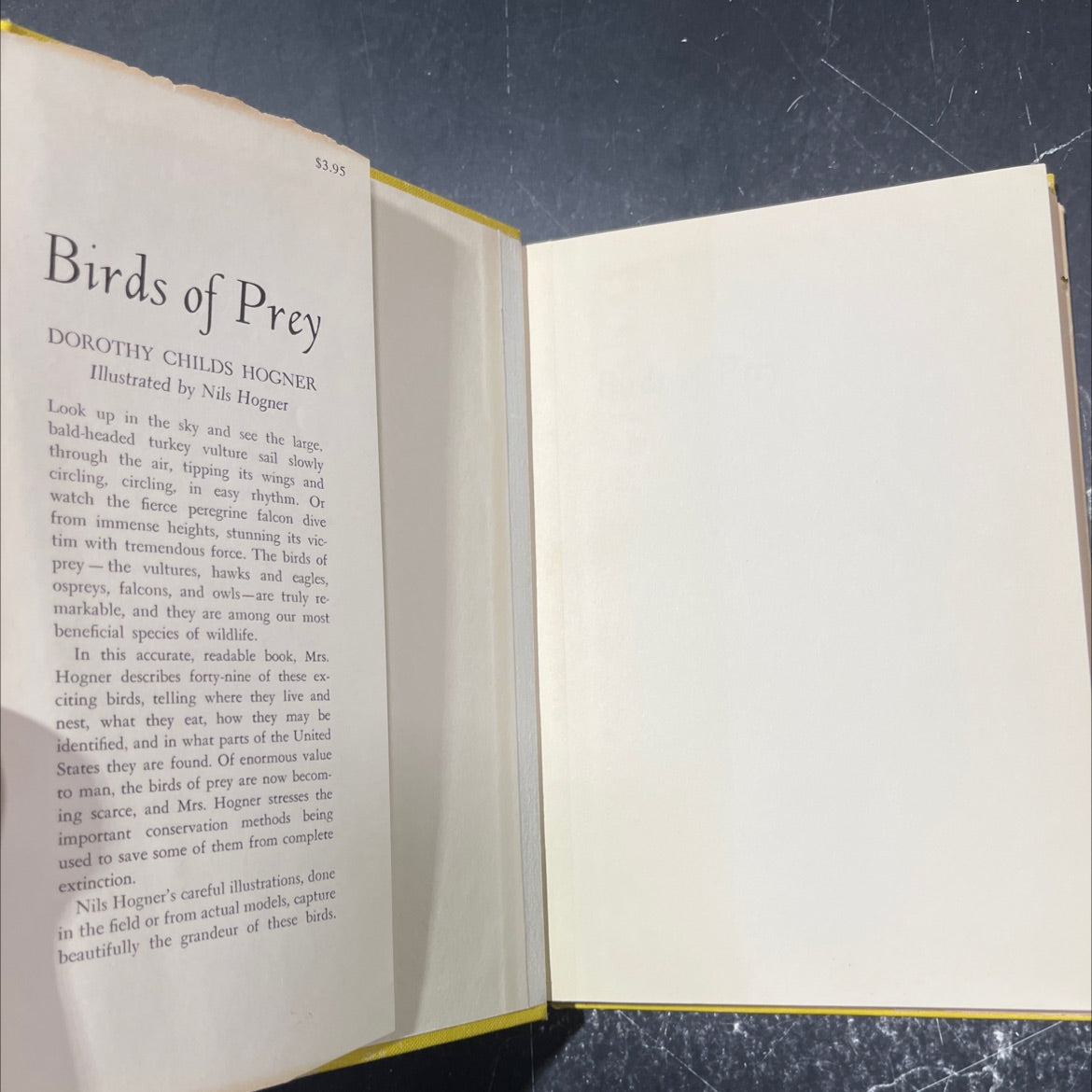 birds of prey book, by dorothy childs hogner, 1969 Hardcover image 4