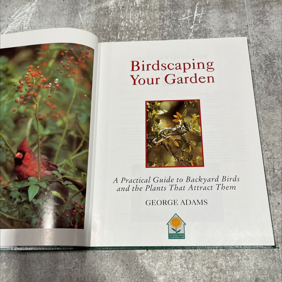 birdscaping your garden a practical guide to backyard birds and the plants that attract them book, by george adams, image 2