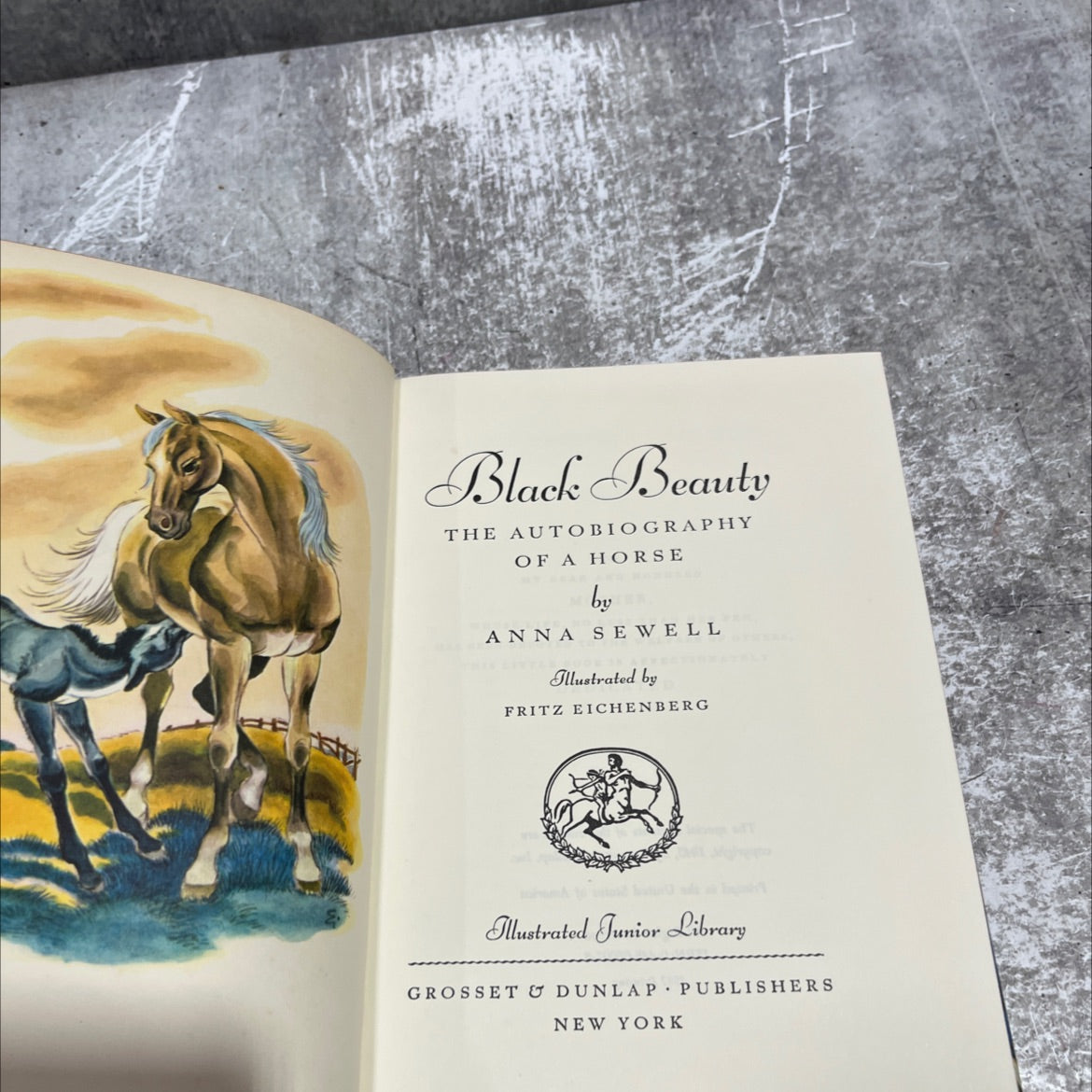 black beauty the autobiography of a horse book, by anna sewell, 1945 Hardcover image 2