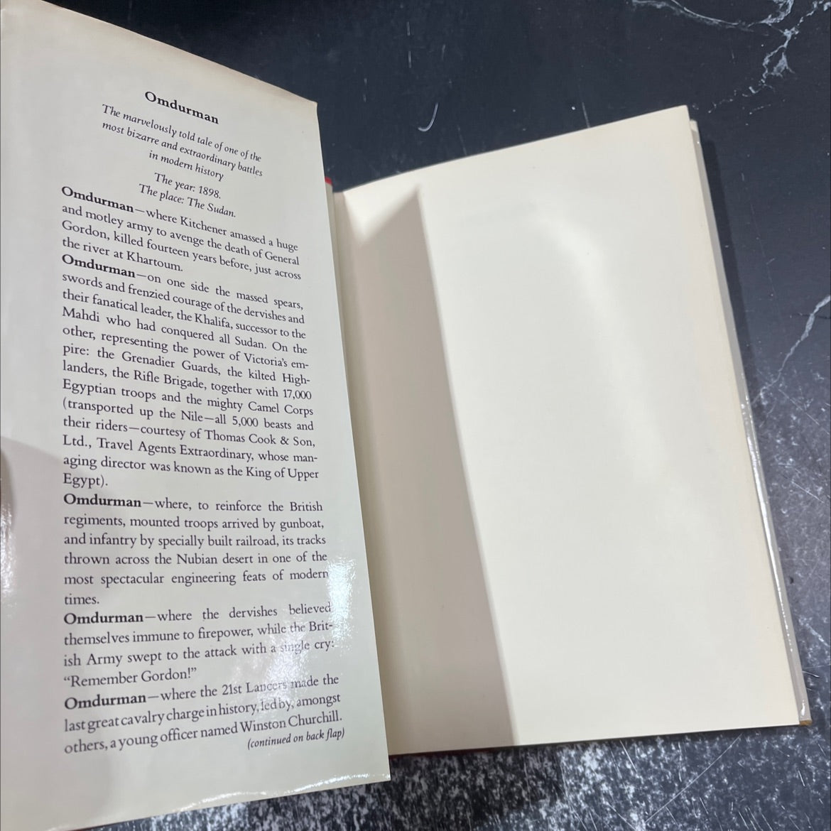 black death book, by philip ziegler, 1987 Hardcover image 4