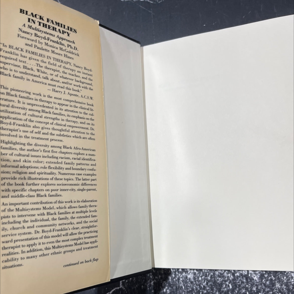 black families in therapy a multisystems approach book, by nancy boyd-franklin, 1989 Hardcover image 4