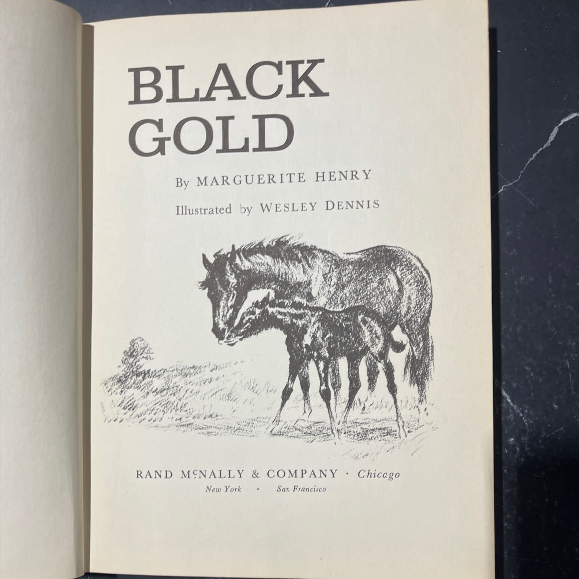 black gold book, by marguerite henry, 1957 Hardcover image 2