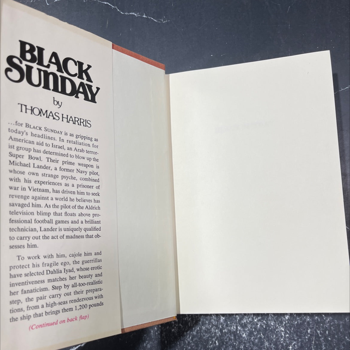 black sunday book, by thomas harris, 1975 Hardcover image 4