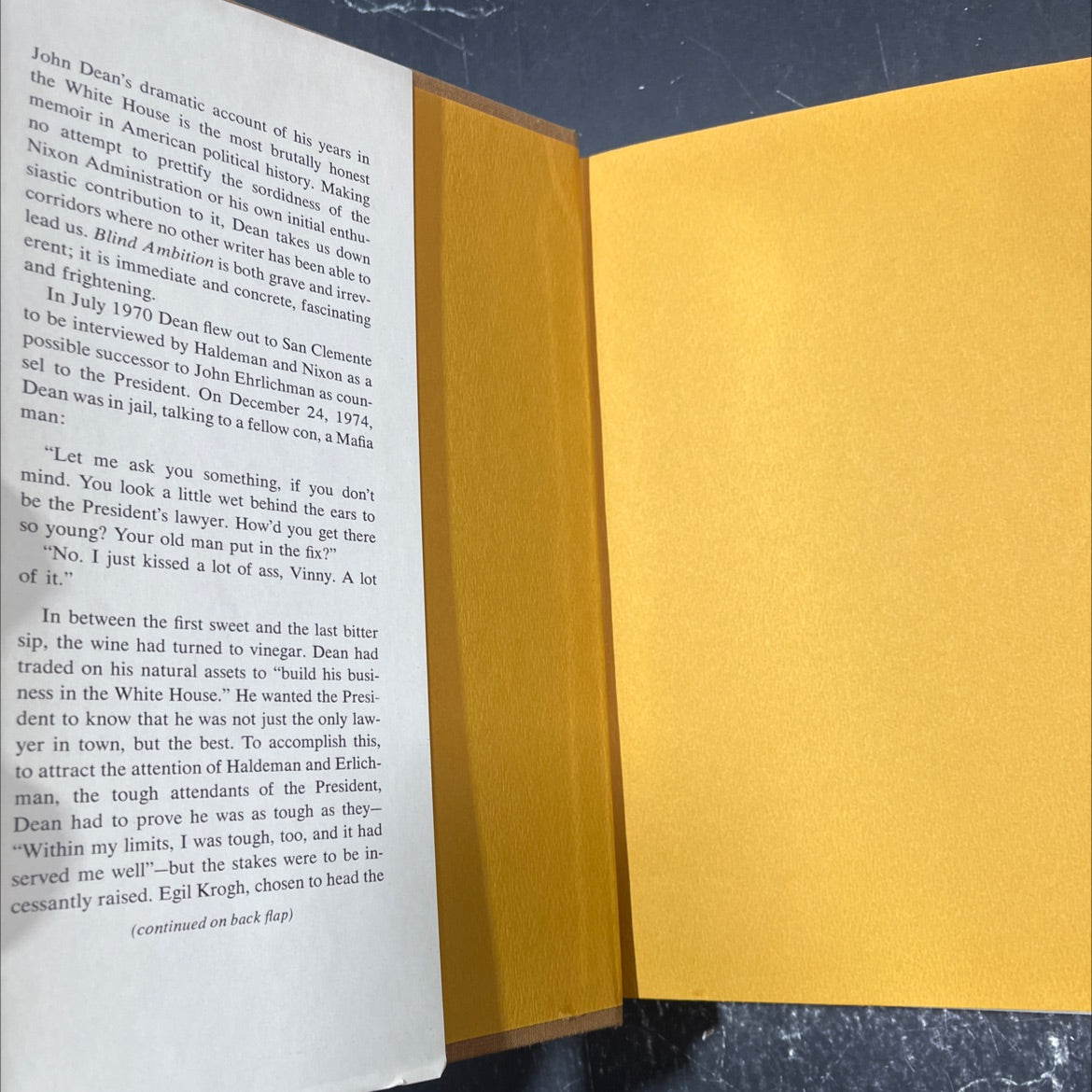 blind ambition book, by john w. dean iii, 1976 Hardcover image 4