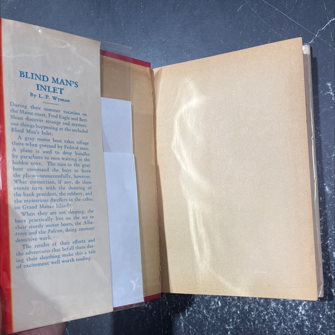 blind man's inlet book, by l. p. wyman, 1932 Hardcover image 4