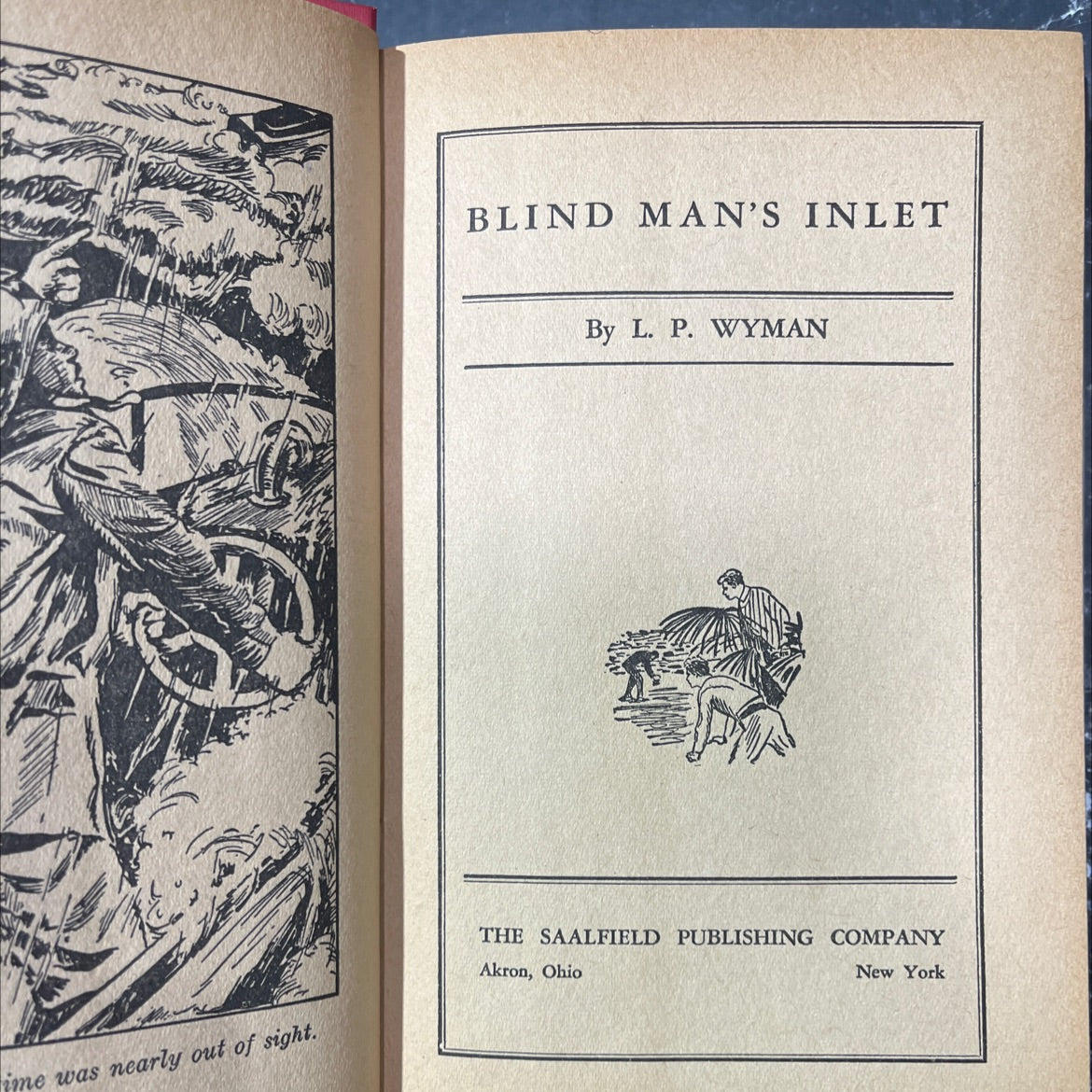 blind man's inlet book, by l. p. wyman, 1932 Hardcover image 2